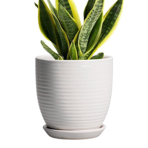 Ordivic 6 inch White Ceramic Planter with Drainage & Saucer, Round Indoor Plant Pot for Succulents & Cactus,Home Office Desk, Housewarming Gift