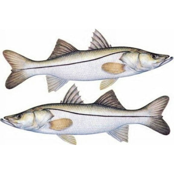 Snook Decal Twin Pack
