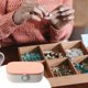 thumbnail image 4 of Kit de costura: kit de costura portátil para adultos que incluye una caja de costura de plástico, un kit de costura y accesorios y suministros de costura., 4 of 5