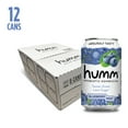 thumbnail image 3 of Humm Kombucha Tea, Blueberry Mint, Probiotic, Organic, 12oz Can, 3 of 6