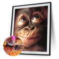 thumbnail image 1 of Cuadros Decorativos Chimpancés Diamond Painting Kits Full Square Drill Home Decor 30x40cm (V2541) Ehuebsd embutido en tela, 1 of 8