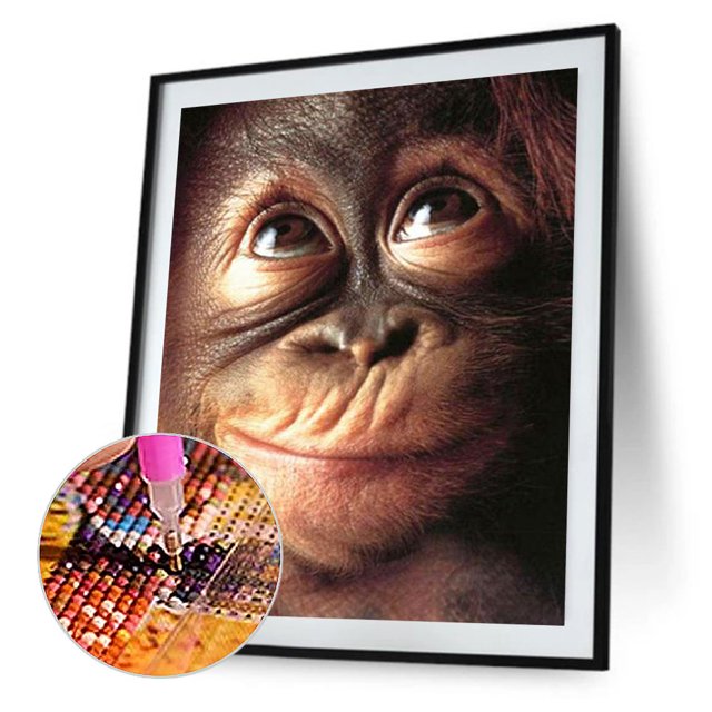 Cuadros Decorativos Chimpancés Diamond Painting Kits Full Square Drill Home Decor 30x40cm (V2541) Ehuebsd embutido en tela