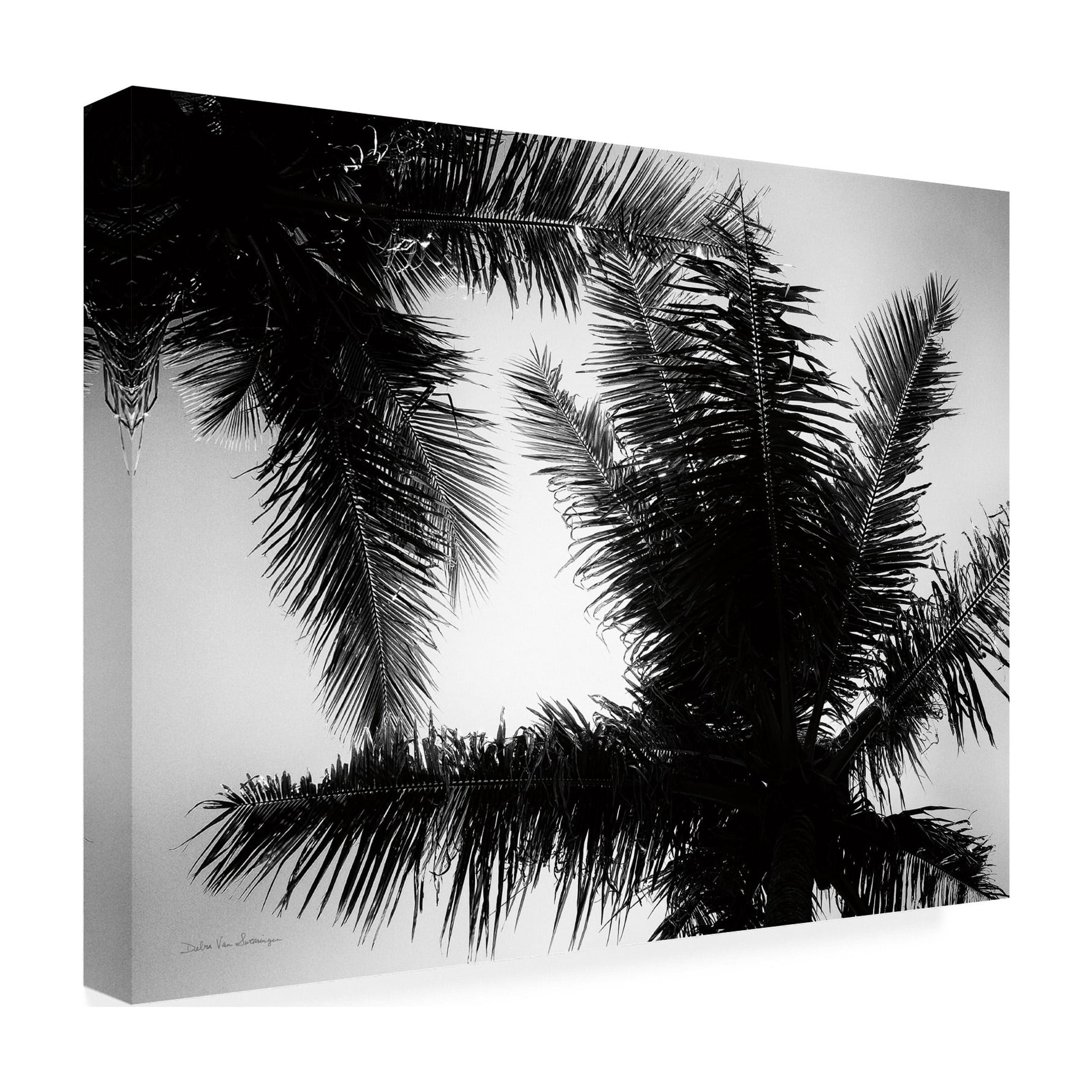 Trademark Fine Art 'Palm Tree Looking Up I' Canvas Art by Debra Van Swearingen