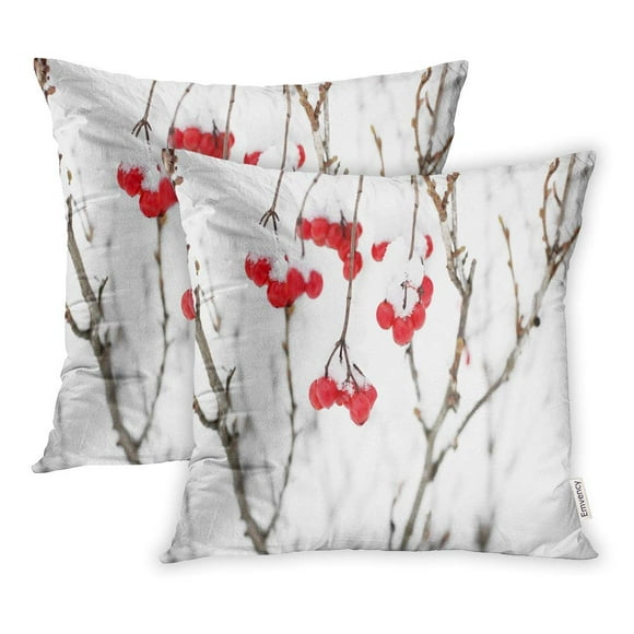 EREHome Winter Frozen Viburnum Under Snow in The First Autumn Beautiful Pillowcase Cushion Cover 20x20 inch, Set of 2