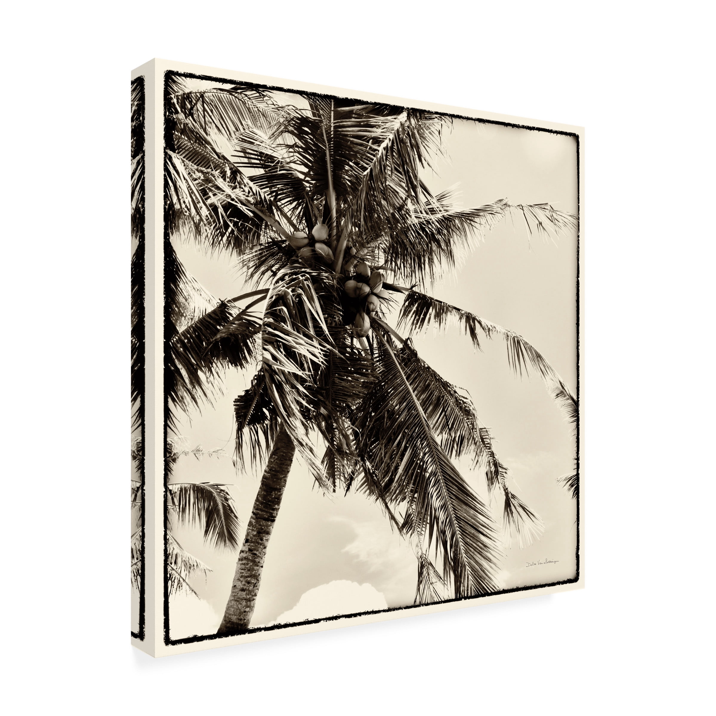 Debra Van Swearingen 'Palm Tree Sepia II' Canvas Art