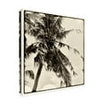 thumbnail image 2 of Debra Van Swearingen 'Palm Tree Sepia II' Canvas Art, 2 of 3