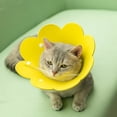 thumbnail image 3 of 2 piezas de collar isabelino en forma de flor Collar de cuello de mascota antiarrugas Cuello de gato anti-mordida (talla M, amarillo, rosa), 3 of 3