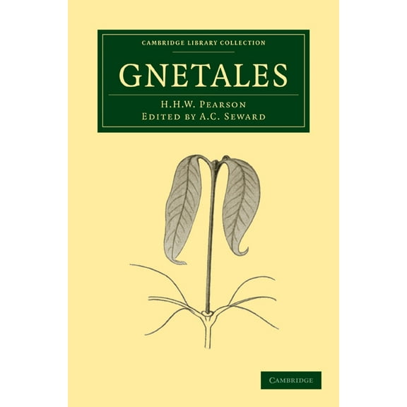 Cambridge Library Collection - Botany an Gnetales, (Paperback)