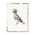 thumbnail image 3 of Wilson, Aimee 15x18 Black Modern Framed Museum Art Print Titled - Golden Bird II, 3 of 5