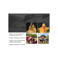 thumbnail image 5 of Tente d'Urgence Abri de Camping Portable Tente d'Urgence Résistante et Réutilisable Activités Extérieures, 5 of 5