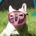 thumbnail image 6 of 2Pcs Multicolor Short Snout Dog Muzzle- Adjustable Breathable Mesh Bulldog Muzzle for Biting Chewing Licking Grooming Dog Mask, 6 of 6