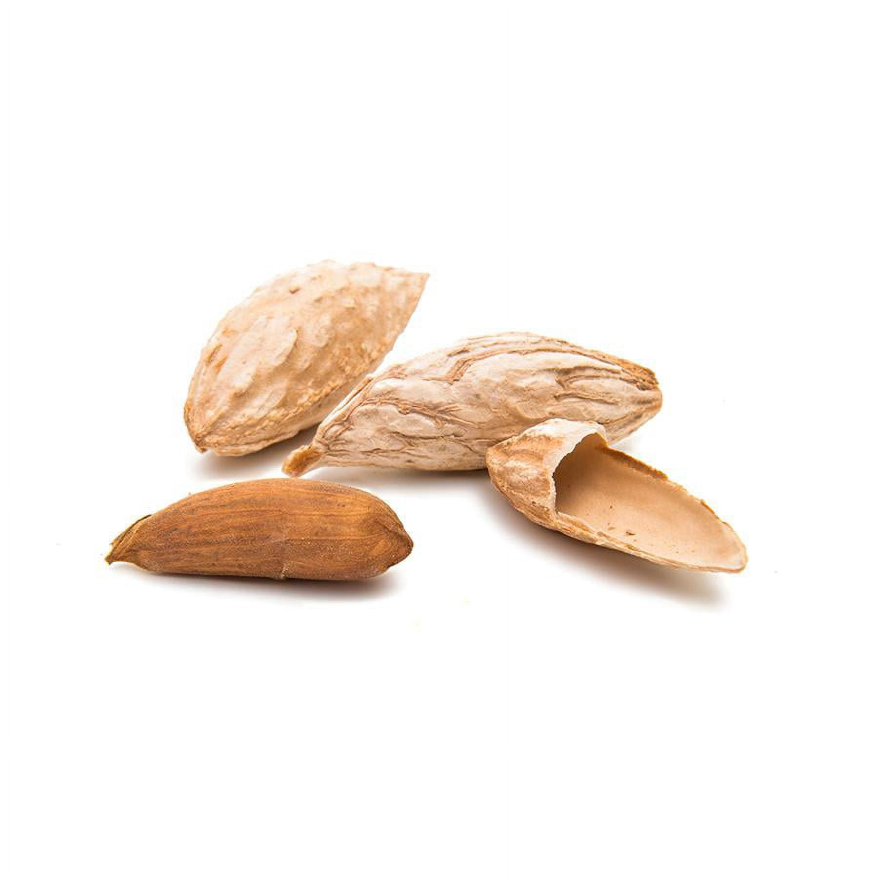 Dried Uzbek Almonds, Satbarbayee Almonds - "kagzi badam", "Talwar badam", Nuts, Dried Fruit - 1 Lb. | 1 Pound |