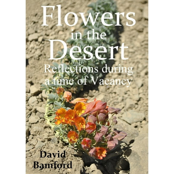 Flowers in the Desert: Reflections during a time of Vacancy, (Paperback)