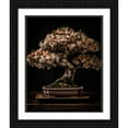 thumbnail image 2 of Maki 12x14 Black Ornate Wood Framed With Double Matting Wall Art Titled - A Rare Desk Plant Iv, 2 of 6