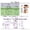 Green, variant on Women 5 Pcs Panties Underwear Bikini Thongs Briefs Set 5PCS, XL, White