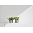 thumbnail image 3 of Ecopots Oslo Mini Durable Modern Round Indoor/Outdoor Recycled Based Composite Flower Pot Planter, Taupe, 4.5", 3 of 4