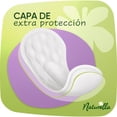thumbnail image 5 of Protectores Diarios Naturella Diarios largos Con Manzanilla 90 pzas, 5 of 5