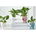 thumbnail image 4 of Adorable Girls Bubbles Cactus Plant Pot Flor Pot White with, 4 of 9