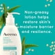 thumbnail image 5 of Aveeno Crema reparadora de avena hidratante para piel sensible, angustiada, seca, con avena prebi&oacute;tica y aloe, formulada sin parabenos, fragancia y esteroides, 12 onzas Aveeno NA, 5 of 9