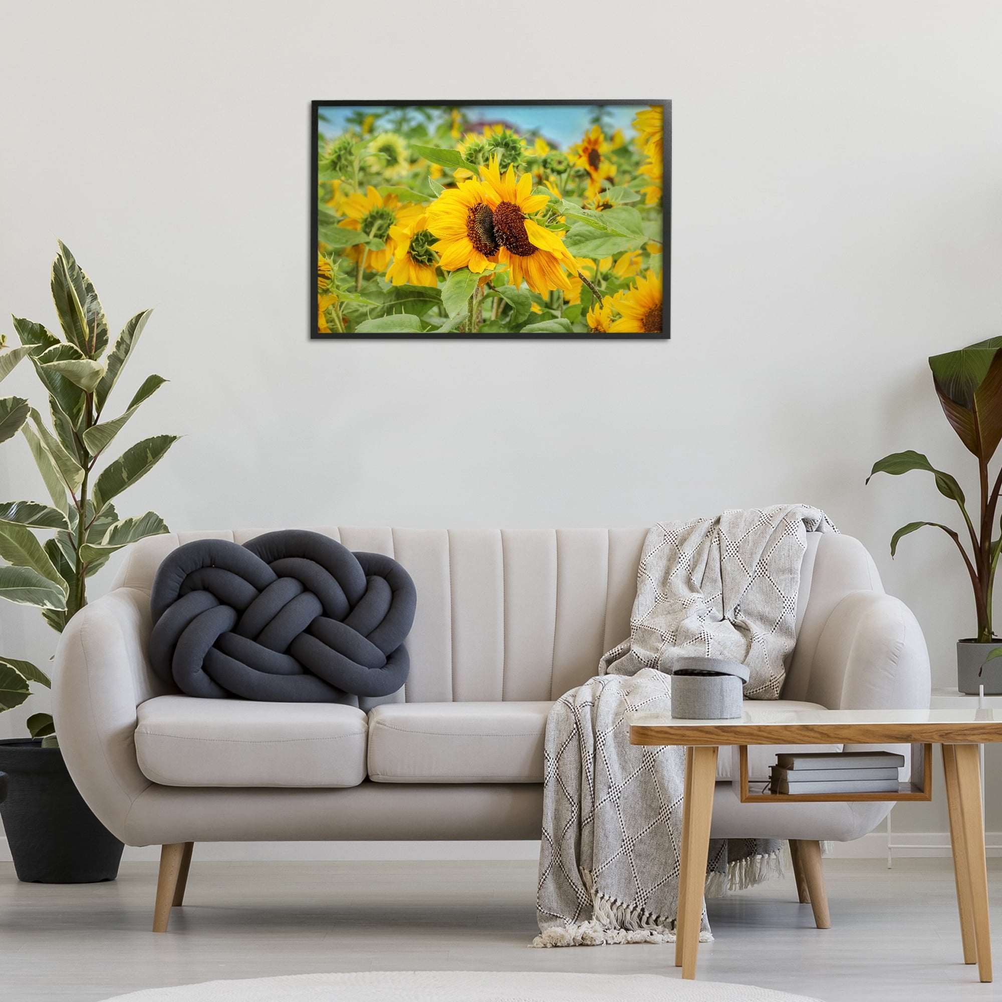 Stupell Industries Sunflower Field Photography Landscape Photography Black Framed Art Print Wall Art, 30 x 20