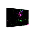 thumbnail image 2 of Eva Bane 'Neon Glow in the Dark 05' Canvas Art, 2 of 3