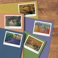 thumbnail image 3 of Autumn Colors Forever USPS Postage Stamp 2 Sheets of 20 US First Class Celebration Announcement Wedding Fall Holiday (40 Stamps), 3 of 3