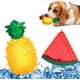 thumbnail image 1 of RV Juguete congelado para mascotas, juguete de fruta congelada para perros TPR, juguetes para masticar mascotas, juguete para perros resistente a mordeduras para cachorros de perros, colorido Rojo Verde, 1 of 5