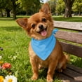 thumbnail image 5 of PremiumPetTowelScarf for Cats and Dogs Towel Design with Versatile Triangular Bib Style for Indoor Outdoor Use, 5 of 5