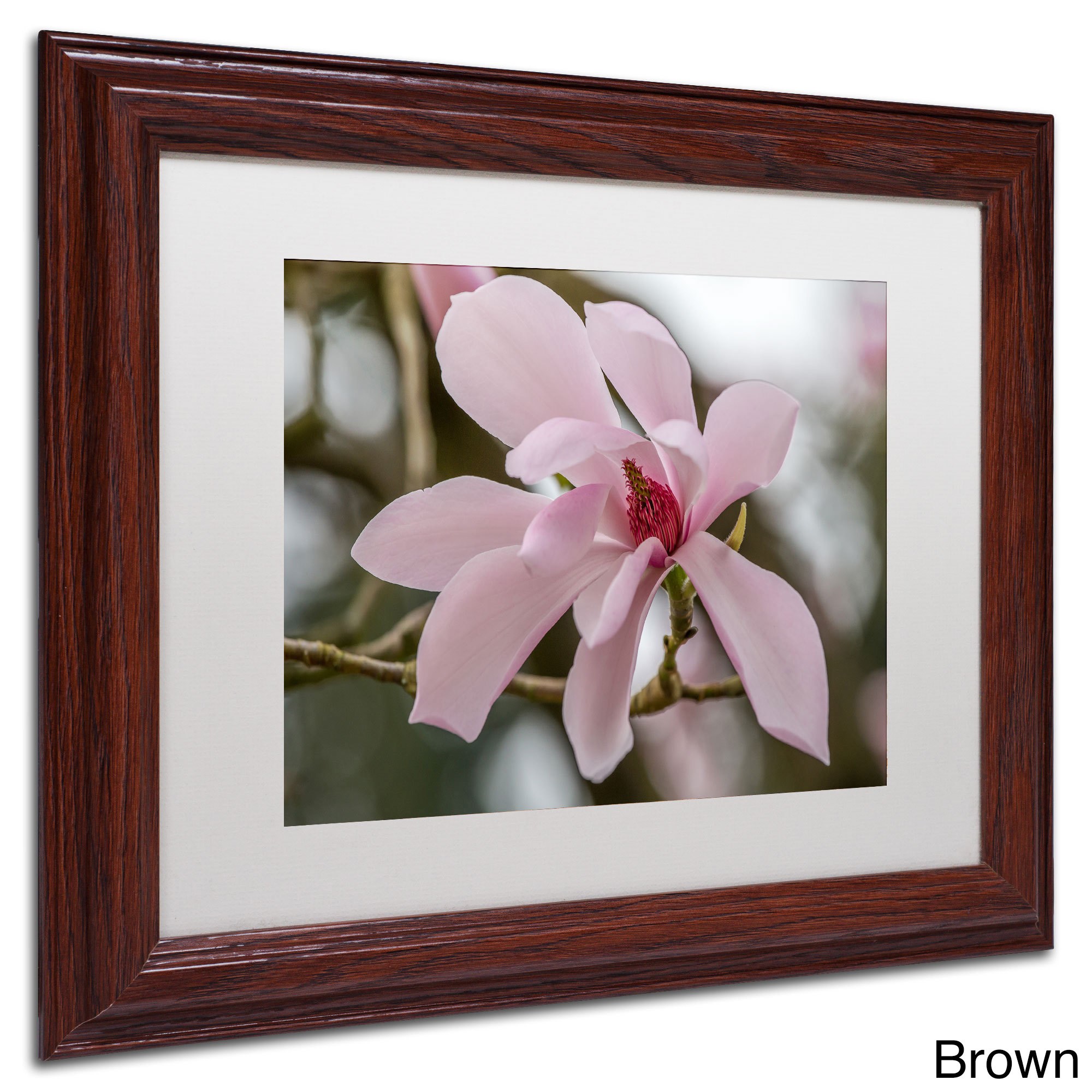 Trademark Fine Art "Magnolia" Canvas Art by Pierre Leclerc, White Matte/Black Frame