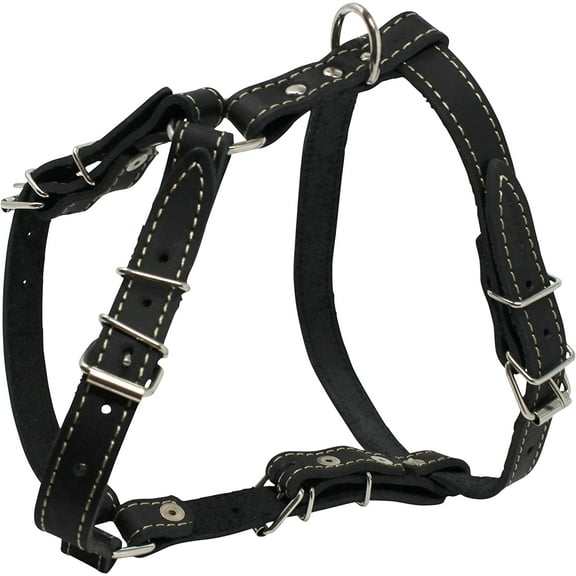 Real Leather Dog Walking Harness Medium Black, 21" - 26" Chest