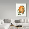 thumbnail image 3 of Trademark Fine Art 'Pumpkin and Vines IV' Canvas Art by Kathleen Parr McKenna, 3 of 3