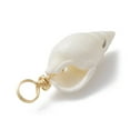 thumbnail image 4 of 100pcs Spiral Shell Pendants with Real 18K Gold Plated Copper Wire Loops Shell Charms White 22~25x8~10x7~9mm Hole: 3.8~4mm, 4 of 4