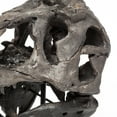 thumbnail image 6 of Brown Resin Tyrannosaurus Rex Skull DÃ©cor Piece, 6 of 6