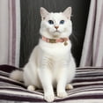 thumbnail image 4 of Unique Bargains Cat Collar Adjustable Breakaway Feature PU Cat Collar Breakaway with Bell Pink, 4 of 7