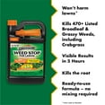 thumbnail image 3 of Spectracide Weed Stop for Lawns Plus Crabgrass Killer, Ready-to-Use Formula, 1 Gallon, 3 of 14