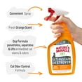 thumbnail image 4 of Nature’s Miracle Oxy Formula Set-In Stain Destroyer for Cats, Orange Scent, 24 oz, 4 of 9