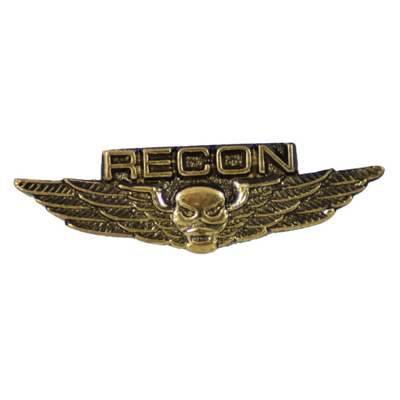 RECON WING HAT PIN