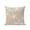 Light Brown, variant on 1 Pack Outdoor Throw Pillow, Brown Coastal Waterproof Pillow with Insert Included, Summer Ocean Waves Ombre Sea Starfish Decorative Accent Cushion Sofa Pillows for Patio Porch, 16 x 16 In