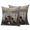 Brown, variant on Boho Elephant Pillow Covers 2 Pack Floral Pattern Animal Abstract Pillowcase Waterproof Outdoor Throw Pillow Cover for Patio Garden Balcony Decorative Square Cushion 20"x12"