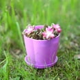 thumbnail image 5 of Dream Lifestyle Colorful Petal Plastic Plant Pot,Multiple Model Flower Pot with Tray Saucer for Decoration of Home,Office,Desk,Garden,Flower Shop,Gardening Containers 1PC, 5 of 8