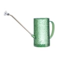 thumbnail image 1 of S SERENABLE Arrosoir 1L Poignée Ergonomique Long Bec pour Fleurs d'Intérieur Vert, 1 of 5