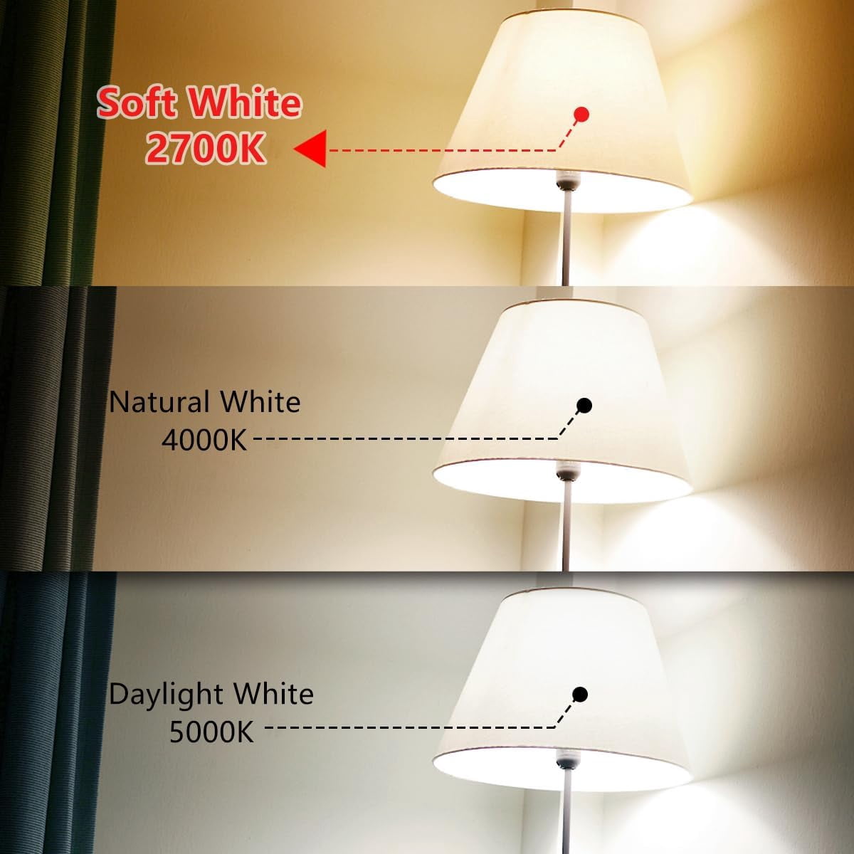 Austin Coast 16-Pack ST58 LED Bulbs, 6W (60W Equivalent), Warm White 2700K, E26 Base, Dimmable, Spiral Filament, Shatterproof