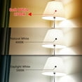 thumbnail image 6 of Austin Coast 16-Pack ST58 LED Bulbs, 6W (60W Equivalent), Warm White 2700K, E26 Base, Dimmable, Spiral Filament, Shatterproof, 6 of 9