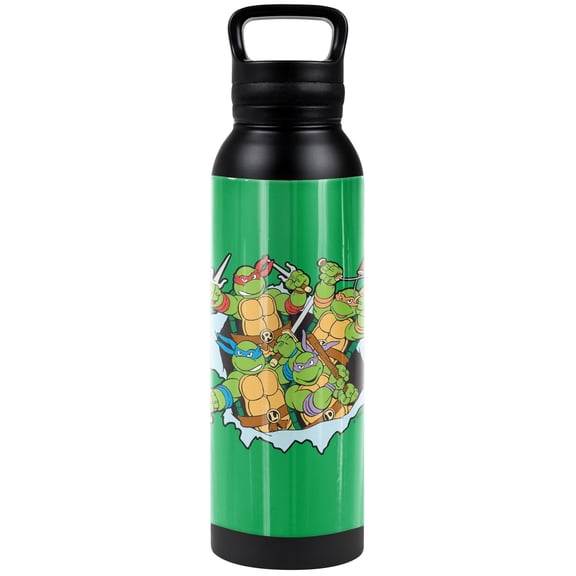 Teenage Mutant Ninja Turtles TMNT Insulated Stainless Steel with Loop Cap