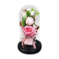 thumbnail image 2 of Two Rose Soap Bouquet Glass Cover LED Light Model Imitation Valentine‘s Day Gift Decoration Ornament, 2 of 5