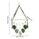 thumbnail image 3 of Estante colgante tejido | Estante flotante de macramé para interiores | Estante de madera para decoración de pared | Expositor estilo bohemio | Verde y marrón, 3 of 6