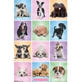 thumbnail image 5 of Keith Kimberlin - Puppies - Cuties Grid, 5 of 5