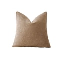 thumbnail image 2 of Teddy Fleece Throw Pillow Cover 18x18 Faux Lamb Sherpa Cushion Cover Soft Curly Plush Decorative Pillowcase For Couch Sofa Bed Living Room Decor, 2 of 7