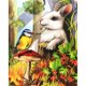 thumbnail image 1 of Taladro diamante pintura (DE5453) conejo de dibujos animados DIY completo 5D arte con cuentas mosaico Kits 30x40cm Hugtrwg Para estrenar, 1 of 1
