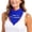 Blue, variant on Neck Scarf for Women and Men Custom Text Print Scarf for Women and Men Lightweight Soft Shawls for Women Green,One Size